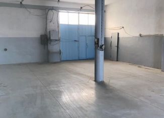Сдается в аренду производство, 100 м2, Саратовская область, Песчано-Умётская улица, 53