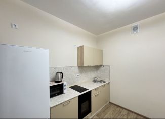 Сдается в аренду 1-ком. квартира, 32 м2, Екатеринбург, улица Блюхера, 38