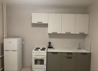 Однокомнатная квартира в аренду, 26 м2, Ростов-на-Дону, переулок Поленова, 21/10, ЖК Платовский