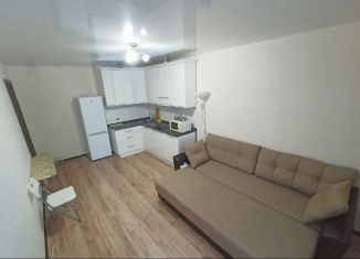 Продам квартиру студию, 26.1 м2, Ростов-на-Дону, переулок Андреева, ЖК Суворовский