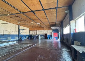 Сдам производство, 490 м2, Омская область, Пристанционная улица, 23