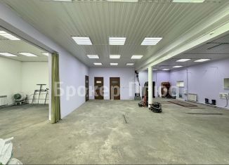 Продам дом, 319.2 м2, деревня Чапаево, Молодёжный переулок, 4