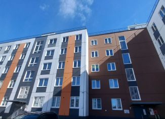 Сдается 2-ком. квартира, 46 м2, Карелия, Вьюжный проезд, 7