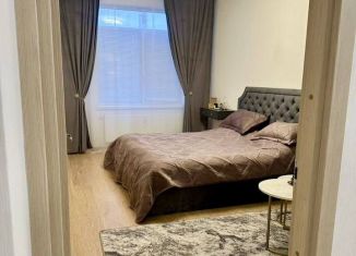 Сдается двухкомнатная квартира, 63 м2, Санкт-Петербург, Арцеуловская аллея, 23к1