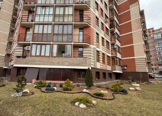 Продаю квартиру студию, 18.5 м2, деревня Ивановское, улица Семёна Гордого, 3