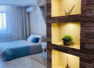 Сдам в аренду квартиру студию, 30 м2, Оренбург, улица Геннадия Донковцева, 17/1, ЖК Оренбуржье