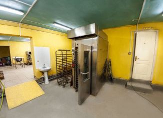 Сдается производство, 182.3 м2, Саратовская область, Центральная улица, 1А