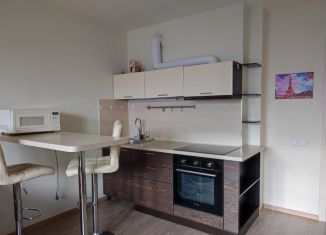 Сдается квартира студия, 30 м2, Екатеринбург, улица Чайковского, 86В