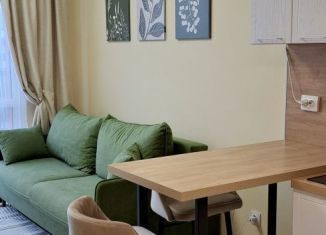 Сдается в аренду квартира студия, 23 м2, Екатеринбург, улица Зелёный Остров, 14