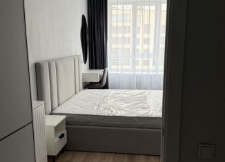 Сдается однокомнатная квартира, 42.3 м2, городской посёлок Новоселье, Адмиралтейская улица, 6