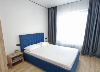Сдача в аренду 1-ком. квартиры, 45 м2, Екатеринбург, улица Свердлова, 32, метро Динамо