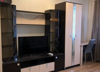 Сдается в аренду 1-ком. квартира, 30 м2, Волхов, Молодёжная улица