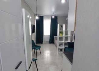 Квартира в аренду студия, 25 м2, Ростов-на-Дону, улица Нансена, 103/1/5, ЖК Звезда Столицы
