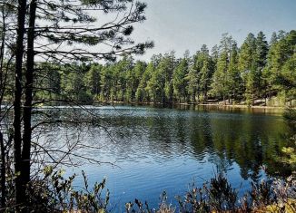 Продается участок, 65 сот., посёлок при железнодорожной станции Лосево