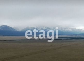 Продается участок, 16 сот., Курайское сельское поселение