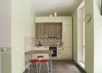 Квартира на продажу студия, 24.3 м2, Мурино, Ручьёвский проспект, 13, ЖК Айди Мурино