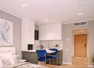 Продам квартиру студию, 10.2 м2, Москва, Автозаводская улица, 19к1