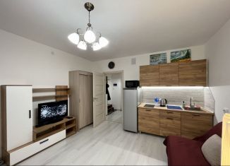 Сдам квартиру студию, 25 м2, Санкт-Петербург, проспект Будённого, 23к5, Красносельский район
