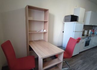 Сдаю в аренду однокомнатную квартиру, 40 м2, Екатеринбург, Библиотечная улица, 48