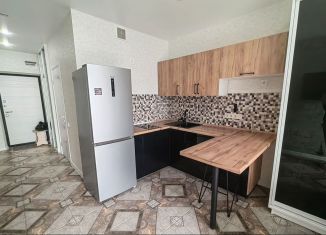 Сдаю квартиру студию, 28 м2, Ростов-на-Дону, Береговая улица, 6, Ленинский район