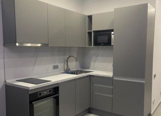 Сдаю в аренду однокомнатную квартиру, 34 м2, Сочи, Курортный проспект, 96Гк1, микрорайон Приморье