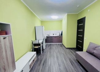 Сдаю в аренду 1-ком. квартиру, 38 м2, посёлок Парголово, Заречная улица, 54