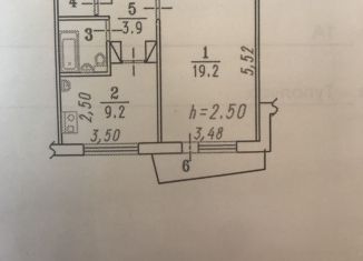 Сдается в аренду 1-ком. квартира, 37.1 м2, Омск, Кировский округ, улица Туполева, 1А