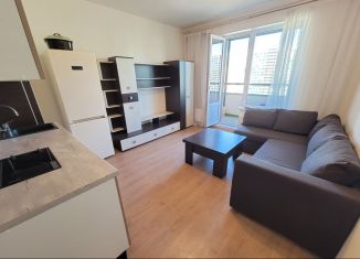 Сдается в аренду квартира студия, 26 м2, Мурино, Воронцовский бульвар, 6, ЖК Гринландия