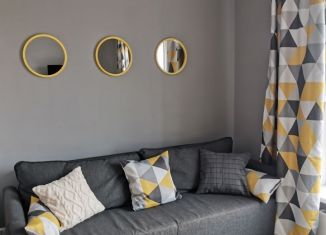 Сдаю в аренду квартиру студию, 25 м2, Люберцы, улица Лётчика Ларюшина, 4/1, ЖК Жулебино Парк