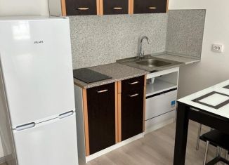 Сдается квартира студия, 25 м2, Санкт-Петербург, Торфяная дорога, 15к3, метро Старая Деревня