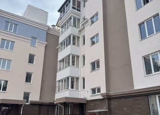 Продается однокомнатная квартира, 53 м2, Нижегородская область, улица Ленина, 58А