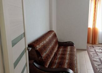 Сдам в аренду 1-комнатную квартиру, 43 м2, Нижегородская область, Новокузнечихинская улица, 11