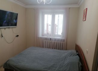 Сдам в аренду 2-комнатную квартиру, 47 м2, Новосибирск, проспект Димитрова, 10, Железнодорожный район