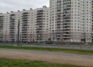 Сдается двухкомнатная квартира, 57 м2, Санкт-Петербург, улица Коллонтай, 6к1, муниципальный округ Правобережный