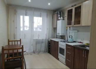 Сдам в аренду однокомнатную квартиру, 41 м2, Нижегородская область, улица Куликова, 49