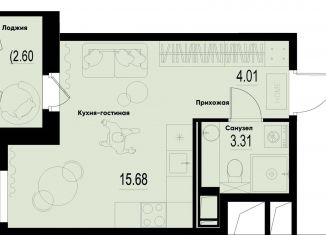 Квартира на продажу студия, 24.3 м2, Ленинградская область