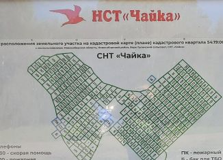 Продажа земельного участка, 5 сот., Новосибирская область