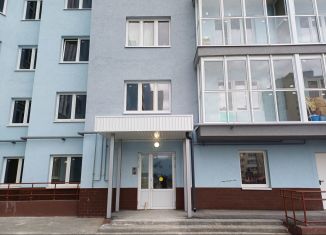 Продажа однокомнатной квартиры, 43.6 м2, Нижегородская область, Деловая улица, 22