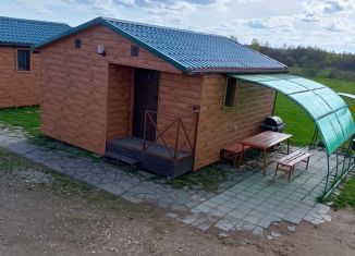 Сдача в аренду дома, 30 м2, Смоленская область, деревня Власьево, 33