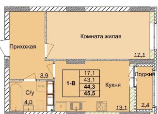 Продаю однокомнатную квартиру, 44.3 м2, Нижний Новгород, 1-я Оранжерейная улица, 16, Советский район