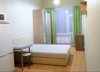 Квартира в аренду студия, 22 м2, Свердловская область, улица Испытателей, 24