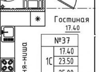 Квартира на продажу студия, 26.5 м2, городской посёлок Новоселье, Центральная улица, 18
