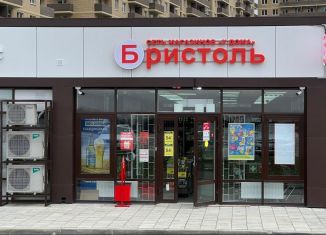 Продажа помещения свободного назначения, 110.6 м2, Краснодарский край, улица имени Героя Ростовского, 8сГ