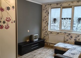 Продаю однокомнатную квартиру, 29.3 м2, Санкт-Петербург, проспект Солидарности
