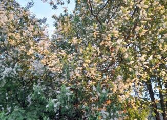 Участок на продажу, 2.5 сот., Ардатов, Ленинская улица