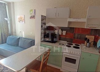 Продажа квартиры студии, 25.6 м2, посёлок Парголово, улица Николая Рубцова, 5