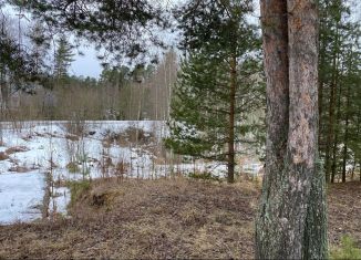 Участок на продажу, 12.5 сот., деревня Раздолье