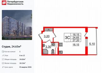 Продаю квартиру студию, 24.7 м2, Санкт-Петербург, муниципальный округ Коломяги