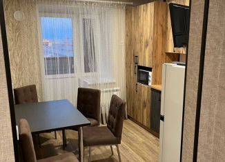 Сдача в аренду 1-ком. квартиры, 45 м2, Йошкар-Ола, улица Панфилова, 33Б/3, микрорайон Панфиловский