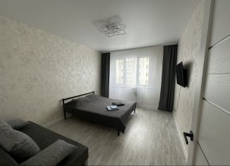Сдается в аренду 1-ком. квартира, 36 м2, Нижний Новгород, Вязниковская улица, 41